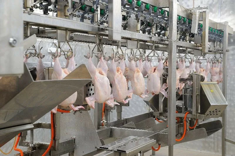 Файл:Обвальщик тушек птицы.webp