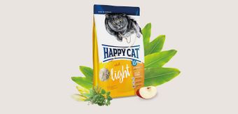 Adult Light (Happy Cat).jpg