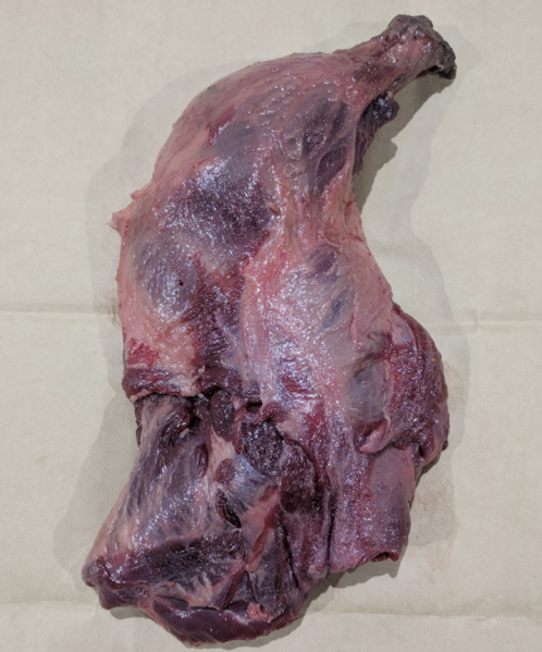 Файл:Бобр лопатка на кости (ДикоЕд).png