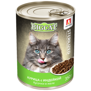 Big Cat Sterilized Курица с индейкой (Зоогурман).png