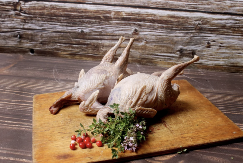 Файл:Рябчик без пера (ДикоЕд).png