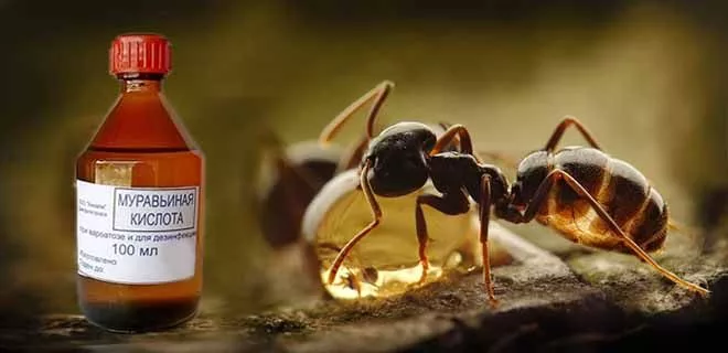 Файл:Муравьиная кислота.webp