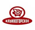 Миниатюра для версии от 02:40, 5 февраля 2021