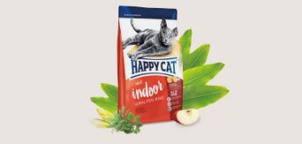 Adult Indoor Voralpen-Rind (Happy Cat).jpg