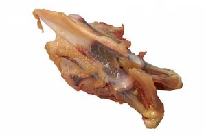 Килевая кость (Золотой Регион).jpg