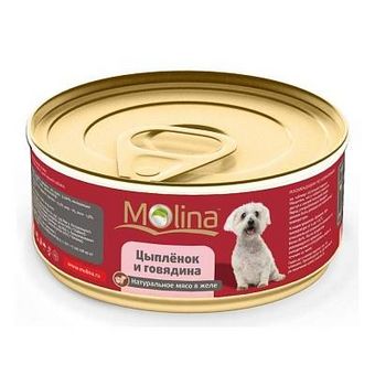 Цыпленок с говядиной в желе (Molina).jpg