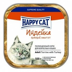 Adult Terrine with Turkey (Happy Cat).jpg