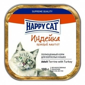 Adult Terrine with Turkey (Happy Cat).jpg