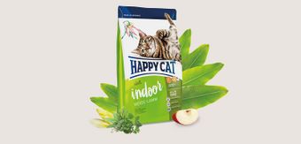 Adult Indoor Weide - Lamm (Happy Cat).jpg