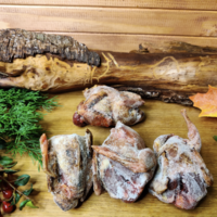 Вальдшнеп (без пера) (ДикоЕд).png