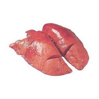 Легкое свиное (Горин продукт).jpg