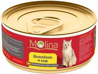 Цыпленок с сыром в желе (Molina).jpg