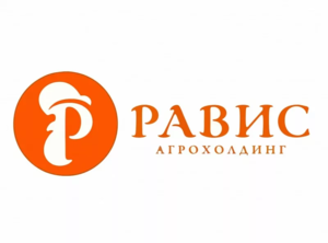 Равис.webp