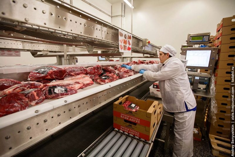 Файл:Расфасовщик мясопродуктов.webp