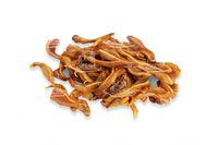 Ушки острые (Поречье).jpg