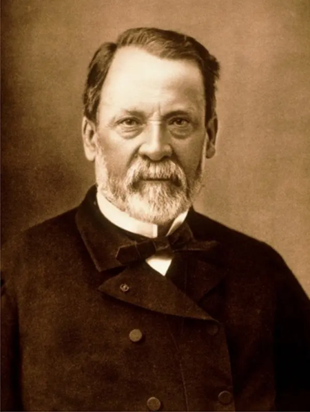 Файл:I81uQUALexXx lui-paster.webp