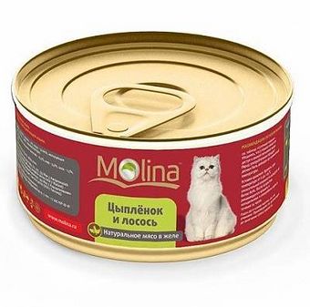 Цыпленок с лососем в желе (Molina).jpg