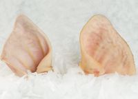 Уши свиные (МПК Динской).jpg