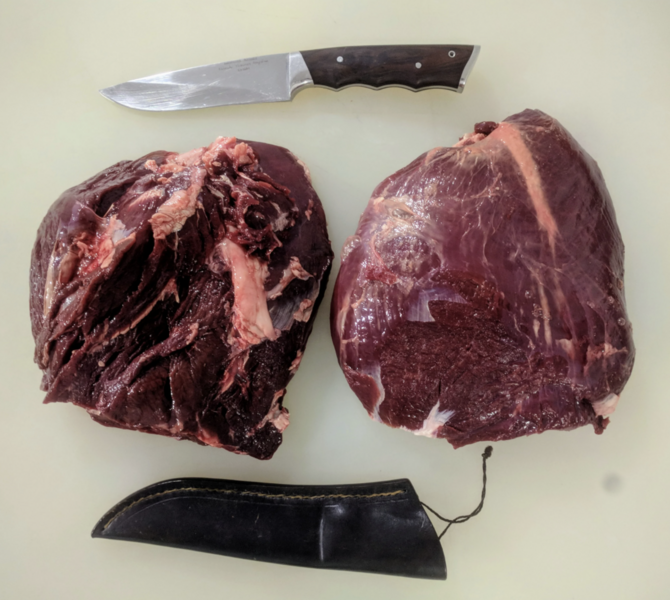 Файл:Кострец марала (ДикоЕд).png