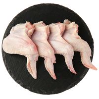 Крыло (локтевая часть) (Петелинка).jpg