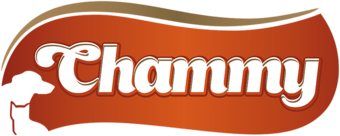 Chammy.png