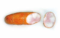 Рулет нежный из мяса птицы (Бендерский мясокомбинат).png