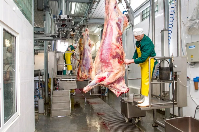 Файл:Обработчик мясных туш.webp