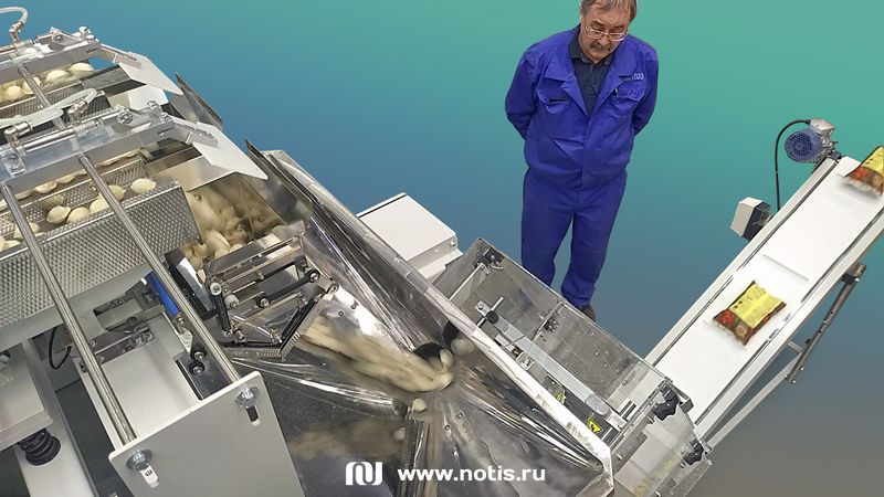 Файл:Линия фасовки пельменей НОТИС.jpg