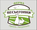 Миниатюра для версии от 14:19, 23 декабря 2020