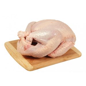 Индюшонок (МЯСНОВЪ).jpg