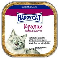 Adult Terrine with Rabbit (Happy Cat).jpg