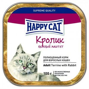 Adult Terrine with Rabbit (Happy Cat).jpg