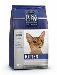 Elite Kitten (Gina).jpg