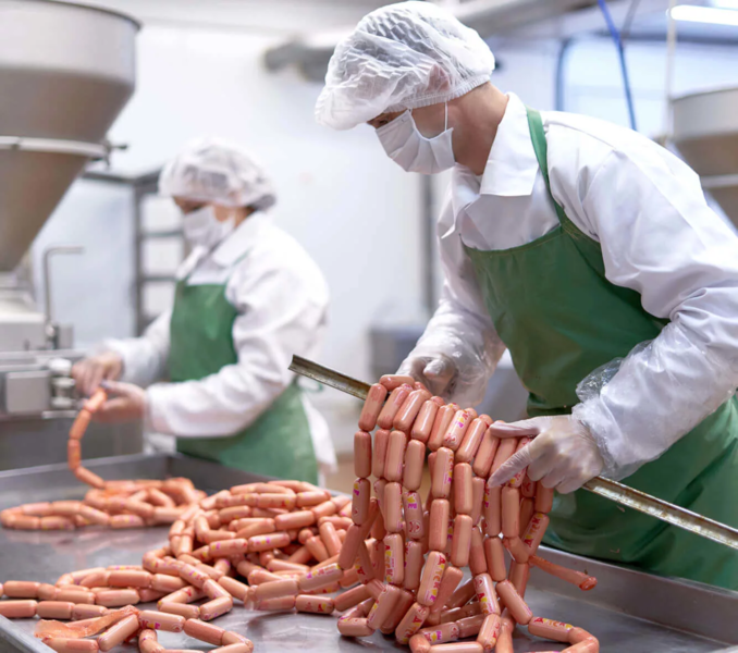 Файл:Формовщик колбасных изделий.webp