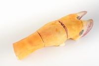 Ноги говяжьи обработанные.jpg