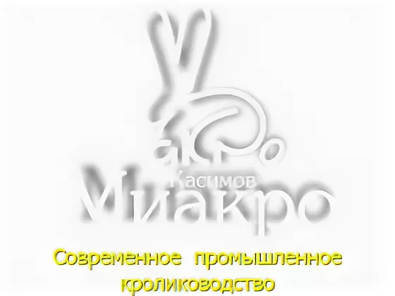 Файл:ООО «Касимов—Миакро».webp
